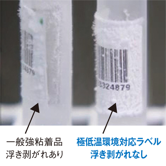 極低温_01.jpg