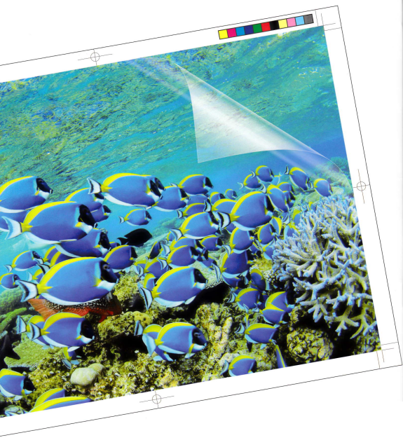 株式会社トッキョ　事業紹介