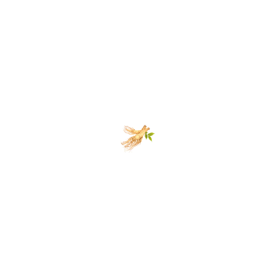画像4.png