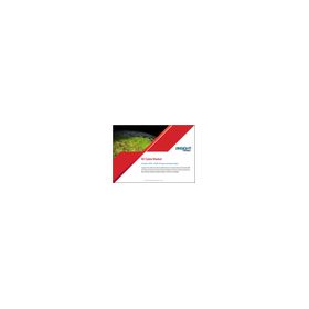 【English Market Research Report】European AV Cable Market