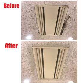 こんなに綺麗になる？天井のカビ取り工事事例