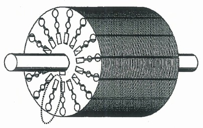 三重かご形電動機