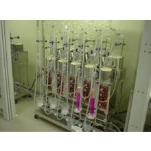 環境測定　環境測定分析