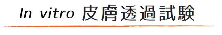 皮膚透過試験受託サービス