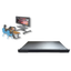Remote video distribution system