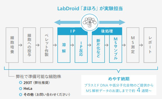 【ROBOT SHARING】プロテオーム解析（IP-MS）