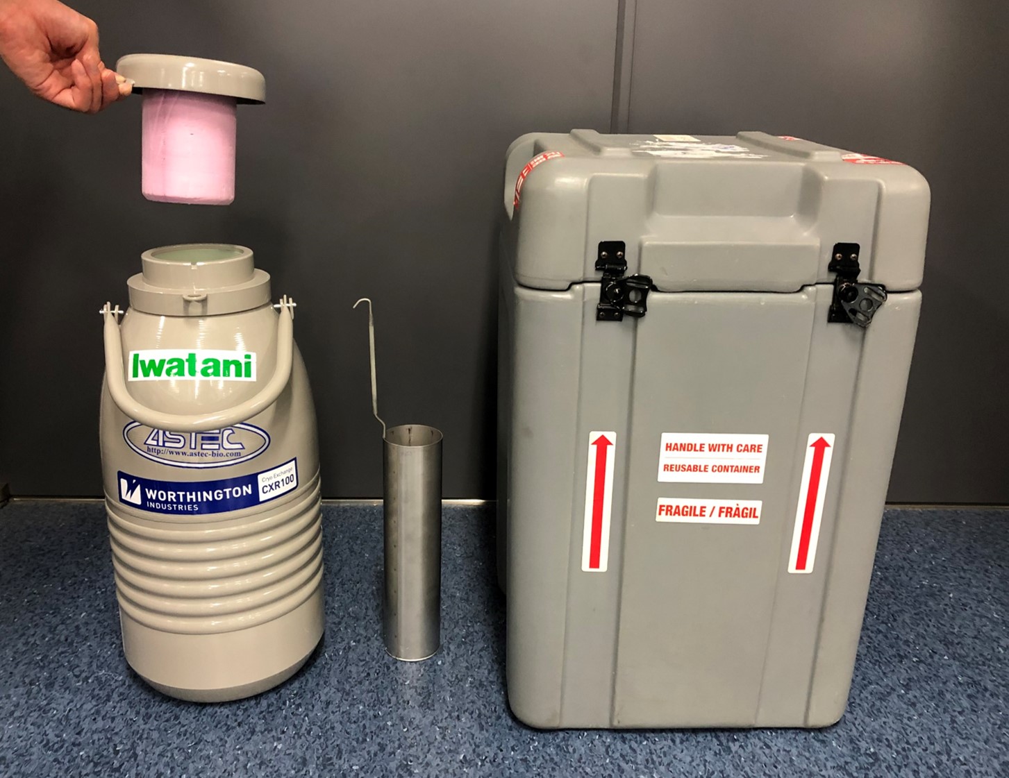 再生医療・遺伝子治療】ドライシッパー 輸送・保管用 | 岩谷産業