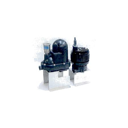 asahi_amb-22dc.jpg