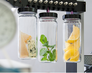 食品香料　研究開発サービス