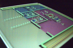 『触知型蓄光製品』