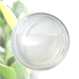 製剤『PURE EGCg oil』