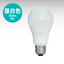 Sealed LED Bulb [FDA6-NX] Daylight White