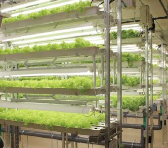 植物生産システム『閉鎖型植物工場』