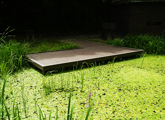 【施工事例】公園内のビオトープのデッキ