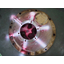 Repair of cast iron casing cracks, repair of cast iron fractures, repair of pump casing legs.
