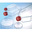 Cell Culture Related Products Catalog 2023