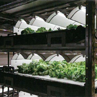 株式会社森久エンジニアリング 事業紹介