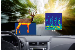 道路上での動物検知（ドイツの例）