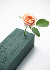 アクアフォーム