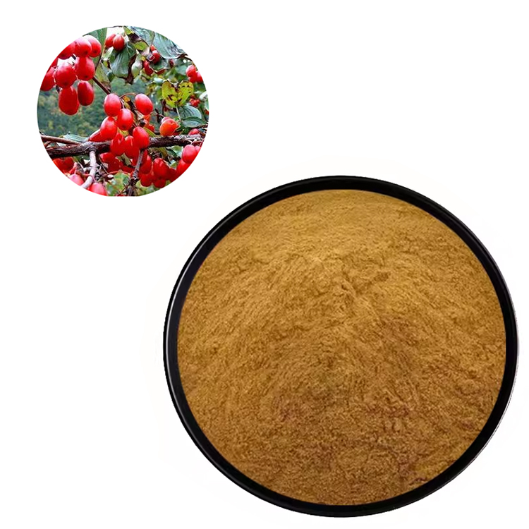 山茱萸（サンシュユ）エキス粉末 伝統漢方・抗酸・滋養強壮サポート