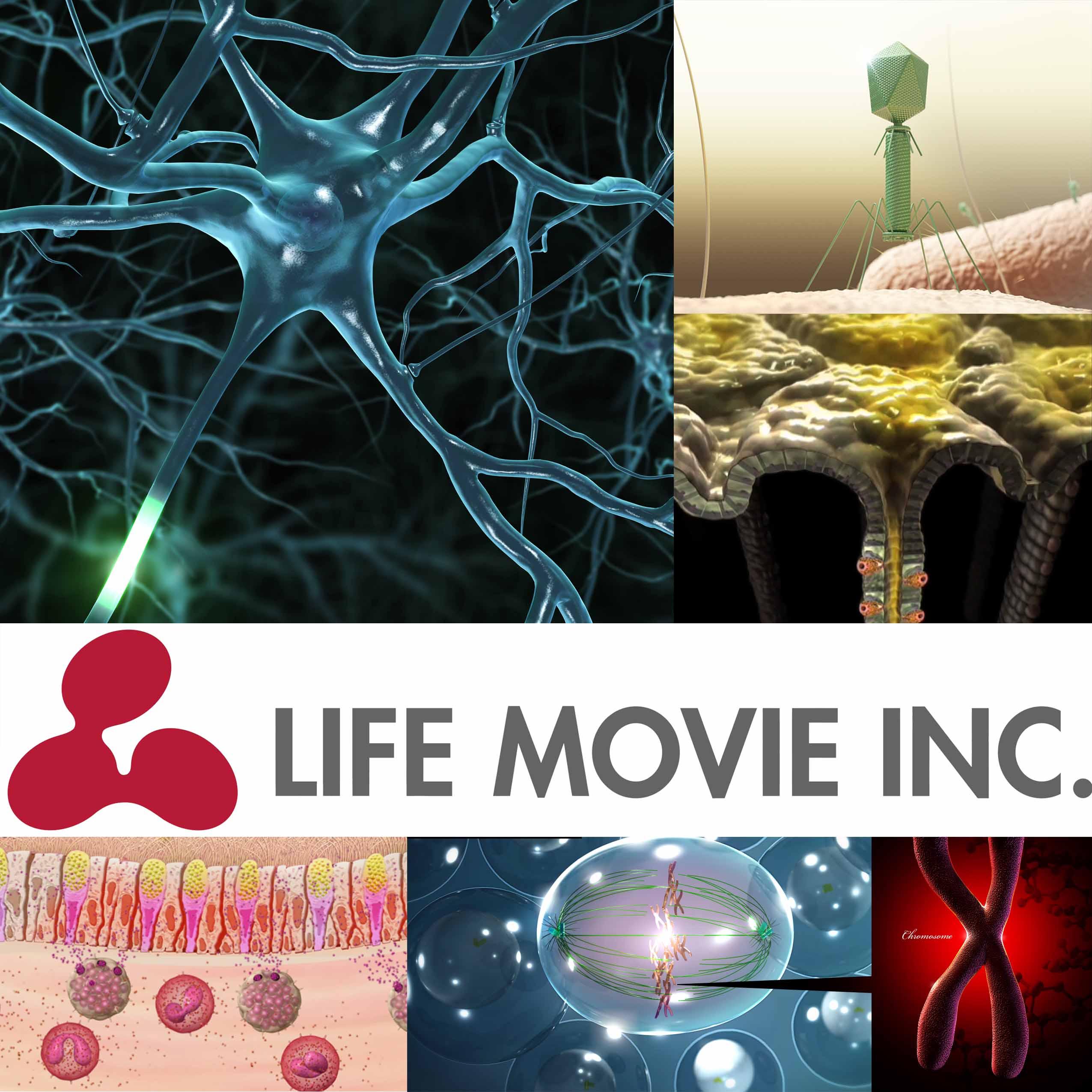 医学・薬学・生物学専門　映像制作サービス