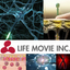 医学・薬学・生物学専門　映像制作サービス