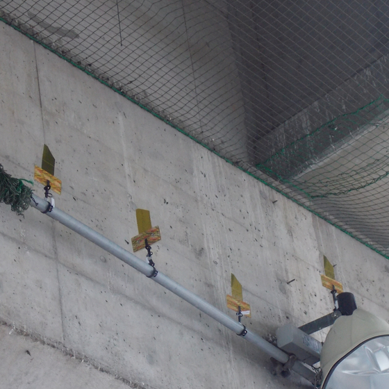 鳥害対策事例写真-02.jpg