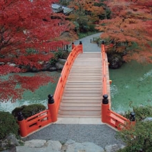 【木材と新素材との複合】「TIMBER STRUCTURE」