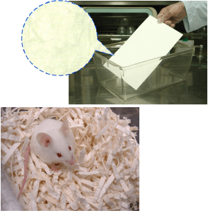 実験小動物用床敷材 『パルマスシリーズ』