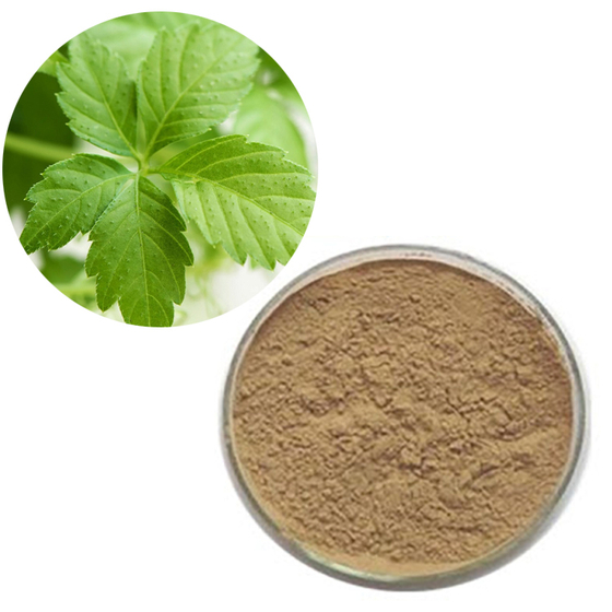 Gynostemma Extract.jpg