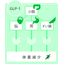 【アスコフィランHS】GLP-1分泌促進作用とダイエットサポート