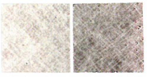 エアフィルター『KranCsair（クランセール）』