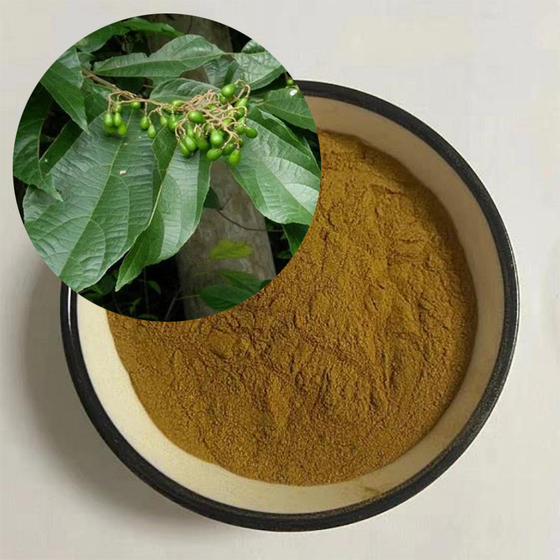 Microcos paniculata Linn. Extract.jpg