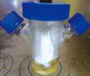 組み換えバキュロウイルスを用いた昆虫細胞培養・精製酵母培養・精製