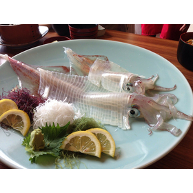 squid-262755_1280.jpg