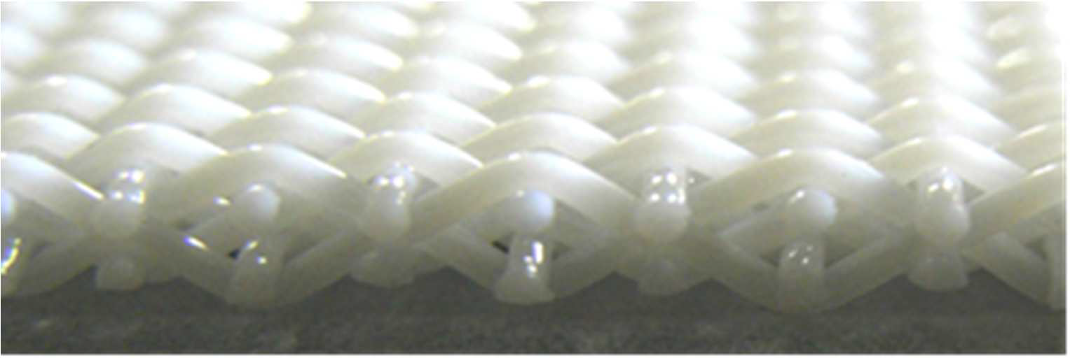 スタンダードキャンバス