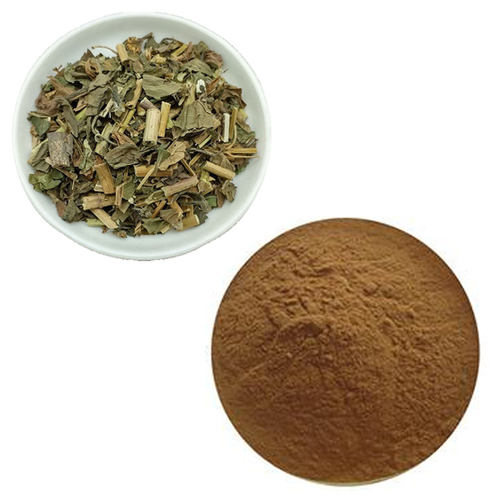 Eupatorium fortunei Extract.jpg
