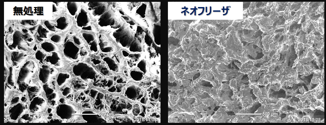 【食品の冷凍でお困りの方必見!】ネオフリーザ(品質改良剤)