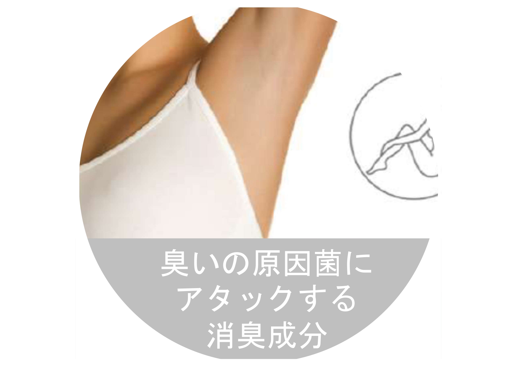 ボディケア原料　細菌叢を整える消臭成分　ラクトファイト