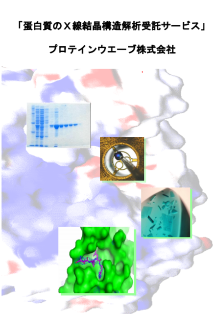 『蛋白質のＸ線結晶構造解析受託サービス』 