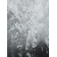 Embossing #39 Blue Cloud