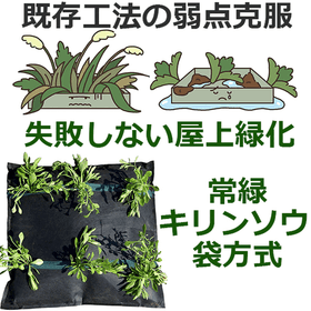 Fail-proof rooftop greening system:...