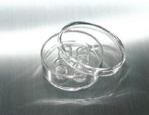 特殊シャーレ『A-6』