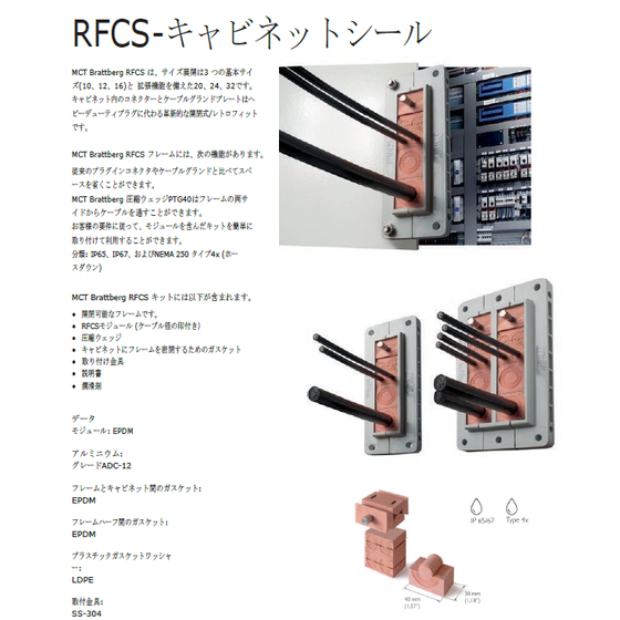 キャプチャ.PNG
