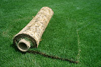 1年中緑で美しい芝生『三種混合ロール巻芝』