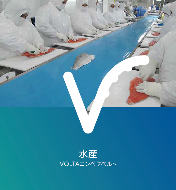 【ボルタコンベヤベルト輸送ソリューション】水産