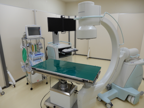 家畜ブタを用いた　非臨床試験サービス