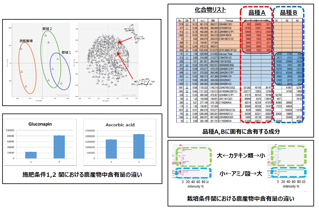 解析『メタボローム解析』