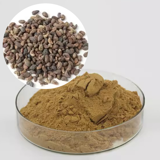 Ligustrum Extract.jpg