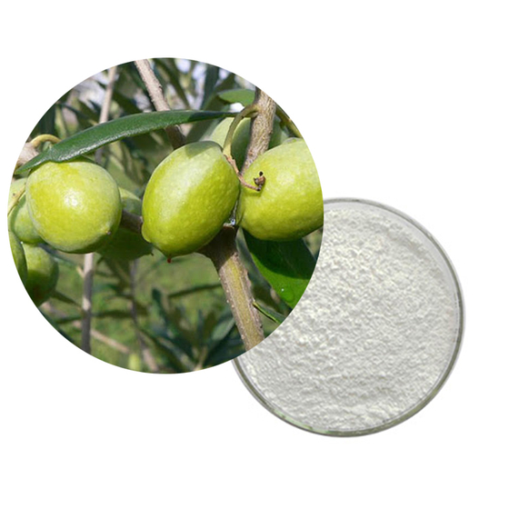 Oleanolic Acid.jpg
